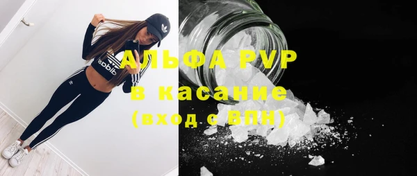 скорость Новозыбков