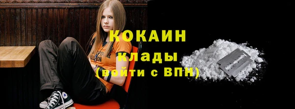 соль курить ск Новодвинск