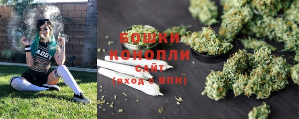 соль курить ск Новодвинск