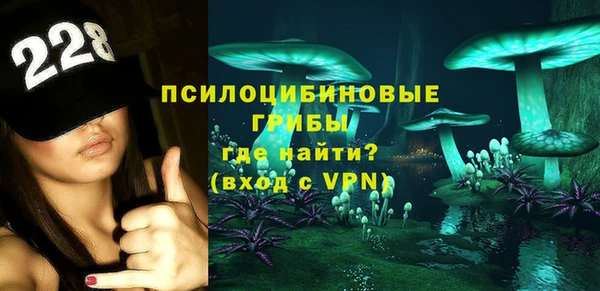 скорость Новозыбков