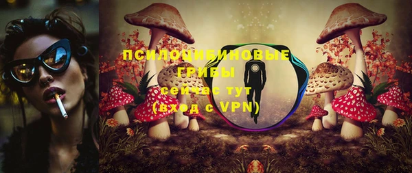скорость Новозыбков