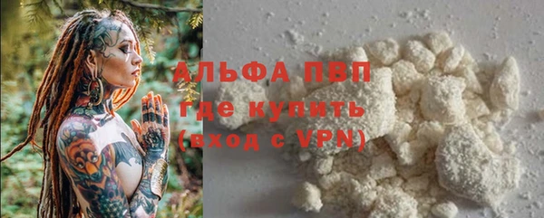скорость Новозыбков