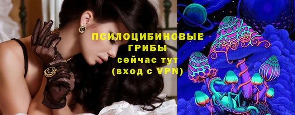 соль курить ск Новодвинск