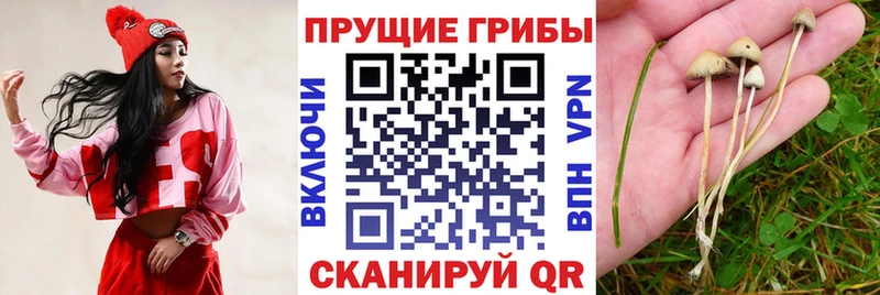 Галлюциногенные грибы мицелий  Юрга 
